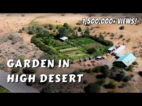 Permaculture Garden In The High Desert