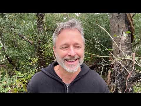 The Call to Plant a Garden | Reconnecting with Gaia & New Earth Energy