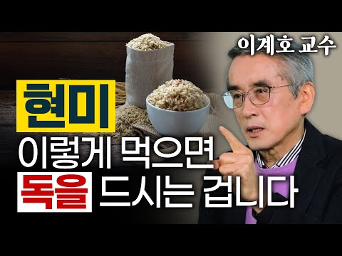 몸에 좋다고 먹었던 ‘현미'의 배신? 현미밥이 장을 부패시킨다? - 이계호 교수 1편