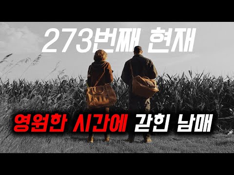 반전에 반전...드디어 인생 타임 루프 영화 찾았습니다. [영화 스토리텔링]