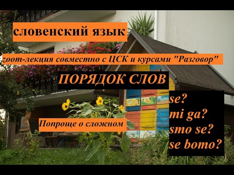 Порядок слов в словенском языке
