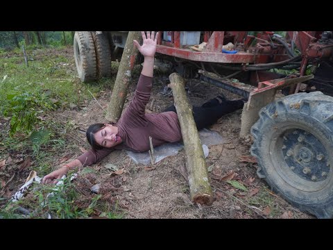 Agricultural vehicle transporting wood girl pulling wood extremely difficult.