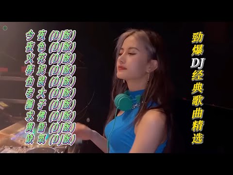 勁爆DJ经典歌曲精选【Lyrics/動態歌詞】【高音质无损DJ】【KTV字幕】今夜※夜色※火花※春泥※伪装※老大※骗子※求佛※黄昏※缺氧