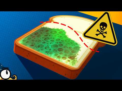 8 FAÇONS de conserver ses ALIMENTS !