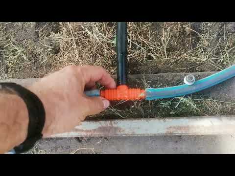 Капельный полив делаю только так! Подробно о самом простом капельном поливе за одну минуту