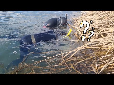 한겨울 강가에서 최고급어종들을 맨손으로 잡는 달인을 만나고왔습니다.