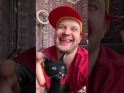 КОЛЛЕКЦИЯ СМЕШНЫХ ВИДЕО / ПОРЖАТЬ / Смешные видео / Юмор 2025 😂