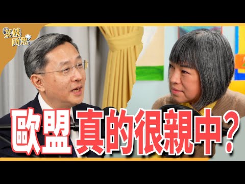 台灣有事歐洲也有事？歐盟國家推印太戰略！台海出事會挺台？ ft.準駐歐盟大使 李淳 | 斐姨所思【阿姨想知道】 EP128