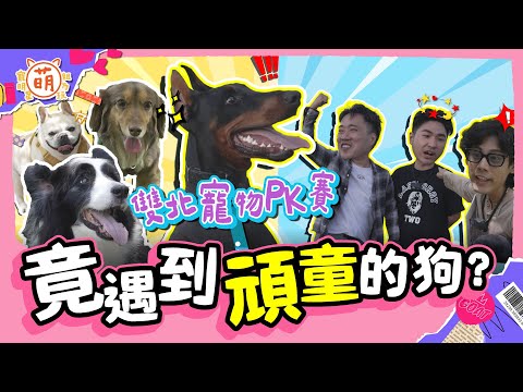 廢弟弟寵物PK賽！竟巧遇狗明星？余祥銓 鹿希派 各務孝太 明星之間的對決 三廢弟不能輸！！【 廢弟弟出任務 】萌寵明星粗乃玩 @haveapetday​
