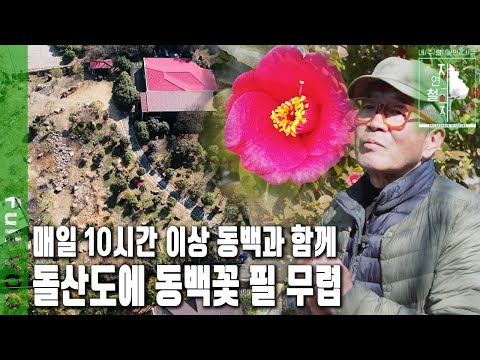 '“동백꽃처럼 건강하게 자기꿈을 향해서 그렇게 살아가면 좋겠습니다" 돌산도에서 만나는 동백정원 | 자연의 철학자들 50부 동백꽃 당신을 보듯 나를 보듯 (KBS 230324 방송)