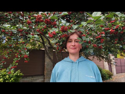 ПСИХОПАТЫ и ПСИХОСОМАТИКА