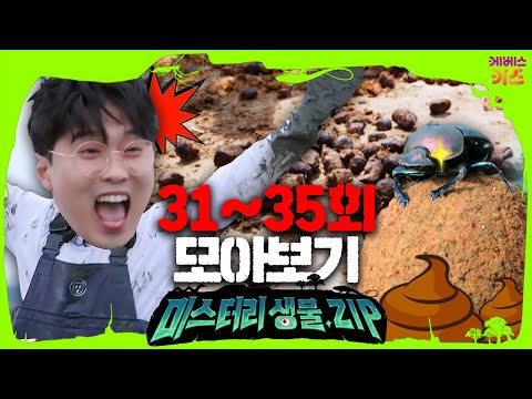 에그박사와 갯벌탐사ㅣ말미잘 똥꾸멍ㅣ소똥구리를 찾아라ㅣ똥 모으기ㅣ미스터리생물집 31~35회 모아보기ㅣ꾹tvㅣKBS 방송