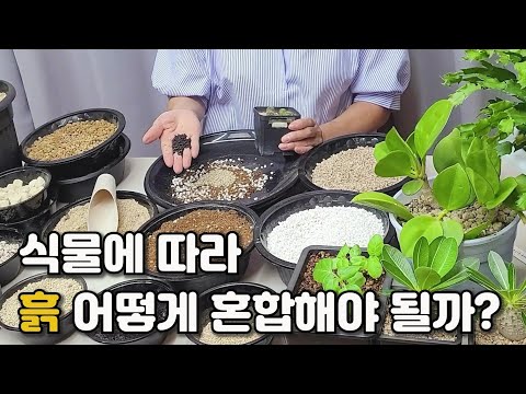 Is the mixing ratio of soil difficult? Cactus, Caudex plants, and various soil mixing methods