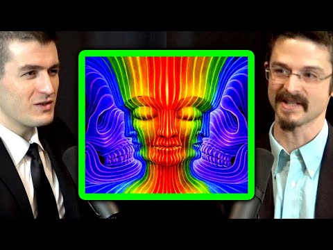 The psychedelic mushroom experience | Matthew Johnson and Lex Fridman