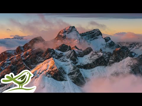 Sleep & Meditation Radio 🧘‍♂️Deep Ambient Music with Fireplace 24/7