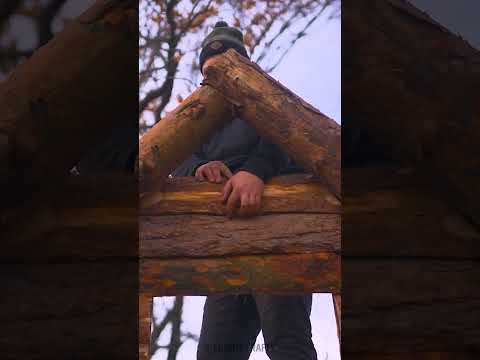 Alone in the Forest: Building a Log House from Scratch 🌲🏡 #survival #loghouse #bushcraft