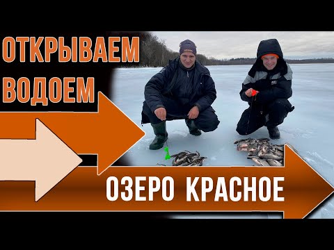 Как ловить на незнакомом водоеме. Озеро Красное.