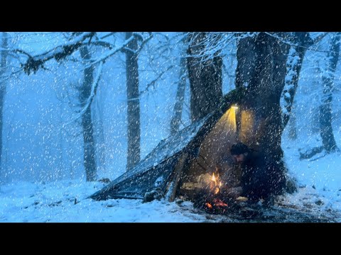 WINTER CAMPING in DEEP SNOW Alone for 2 Days at -12°C!