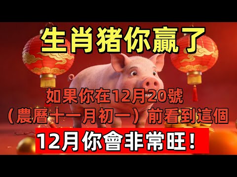 生肖猪你贏了！如果你在12月20號（農曆十一月初一）前看到這個，12月你會非常旺！#玄运生肖#屬相運勢#生肖#家運#手寫#生肖運勢的那些事#先知#風水變化#提升運勢