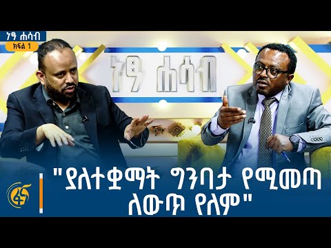 "ያለተቋማት ግንባታ የሚመጣ ለውጥ የለም" | ነፃ ሐሳብ - ክፍል 1