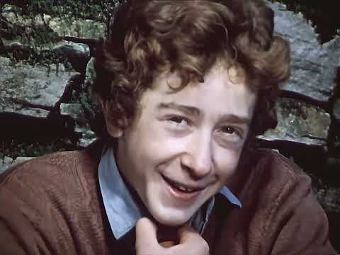 Спомен за близначката (1976)