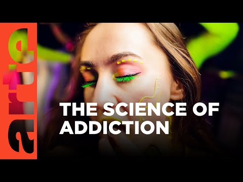 Can We Cure Addictions? | ARTE.tv Documentary
