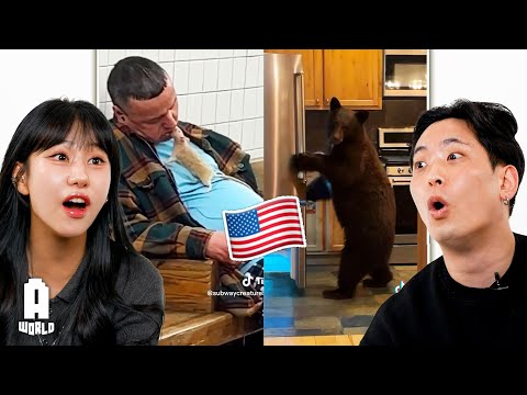Koreans react to AMERICA IS NOT A REAL PLACE!