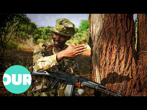 Bringing Down Major Wildlife Smuggling Kingpins | Our World