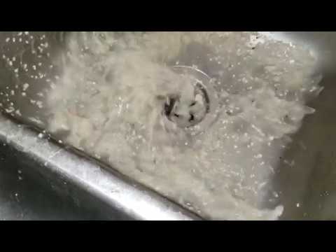 Garbage Disposal Clogged? Sink Clogged? Not Draining?