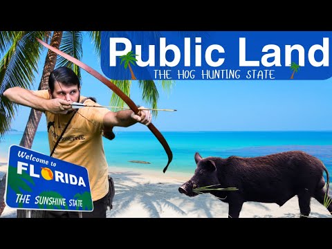 Florida PUBLIC Land HOG Hunt. How-To / Tips &amp; Tricks