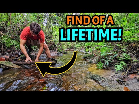 IT REALLY HAPPENED?! This Historic Find Left us SPEECHLESS While Exploring a BRAND NEW Creek!