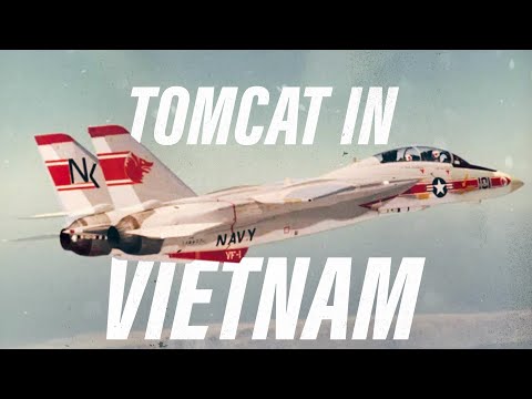 The F-14s that served in Vietnam