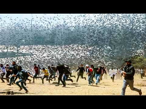 Massive Animal Invasions & Migrations Caught On Camera