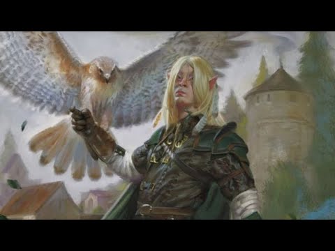 What They Don't Tell You About Half-Elves - D&D