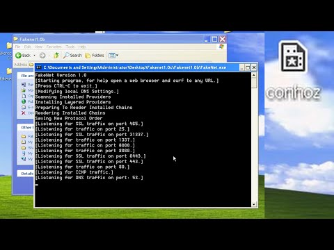Reverse Engineering a Windows XP NET Worm
