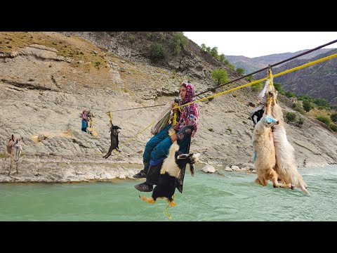 Nomadic Life: Brave Nomadic Girls Cross the River | Nomadic Girls' Dreams of Survival🏔️🐐