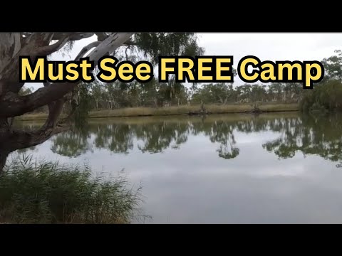 Budget Adventure on the Murray River! FREE Riverside Camp You’ll Want to Visit.