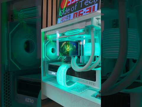 Rayquaza PC Gaming Desk Setup 🐍