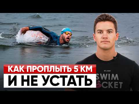 Как тренируются выносливые пловцы, чтобы проплыть 5 км — и как это повторить тебе?