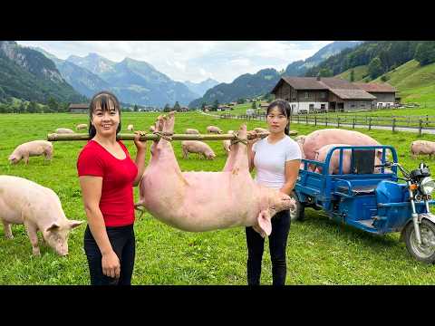 TIMELAPSE -- Buys Piglets From Villagers – Sells Them After 9 Months of Raising for Big Profit