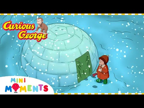 George's Best Friends | Curious George | Compilation | Mini Moments
