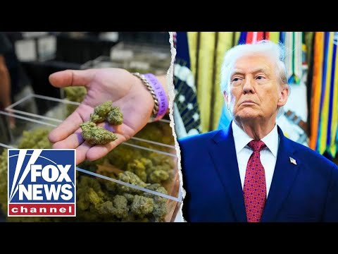 Marijuana reclassified after Trump signs executive order