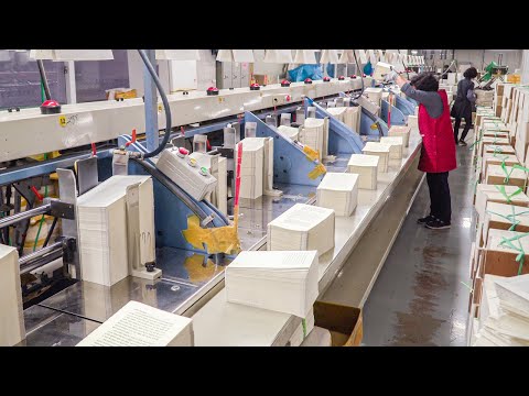Brilliant! TOP 5 Factories Using Tons of Paper To Make Variety of Products