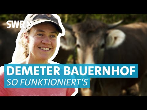 Der Bio-Bauernhof: Seit 1992 Demeter Landwirtschaft in einer Betriebsgemeinschaft am Bodensee