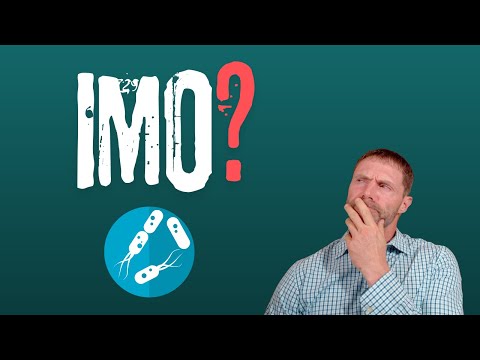 What is IMO (Intestinal Methanogen Overgrowth) and Why It’s NOT SIBO?