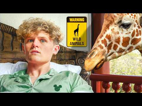 I Stayed in Every Hotel at Disney World