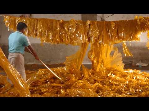 Why Melted Bugs Coat Your Favorite Candy