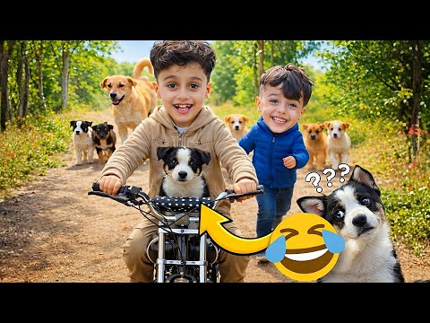 مجودي يعلم الكلب سياقة الدراجة الجديدة 🤪😂