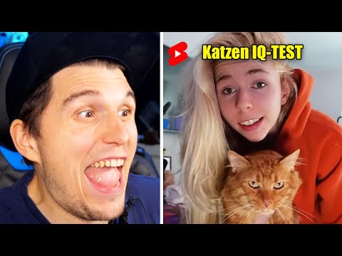 Paluten guckt Shorts 468.0