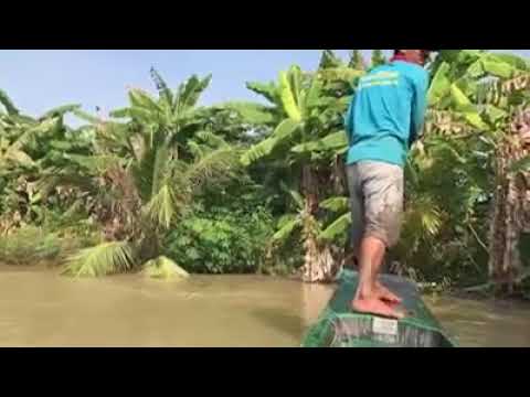 VID_20180104_235620314_edited.mp4